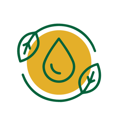 Wood Pressed Oils