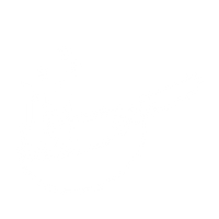 Customer-First Approach