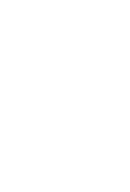 2-1L Icon-01.png